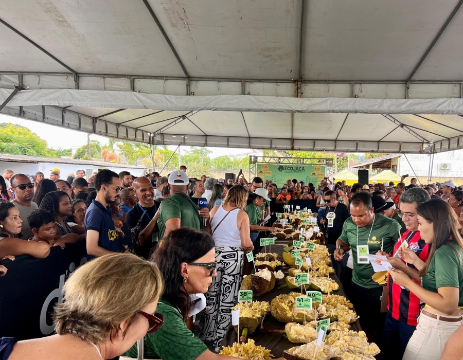 Imagem JPG, 2ª Edição do ECOJACA reúne centenas de apaixonados por jaca em Cruz das Almas