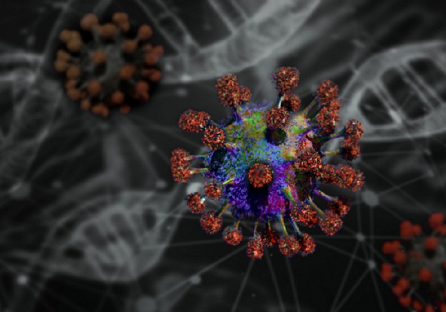 Imagem JPG, Novo coronavírus com risco de pandemia é detectado em morcegos na China