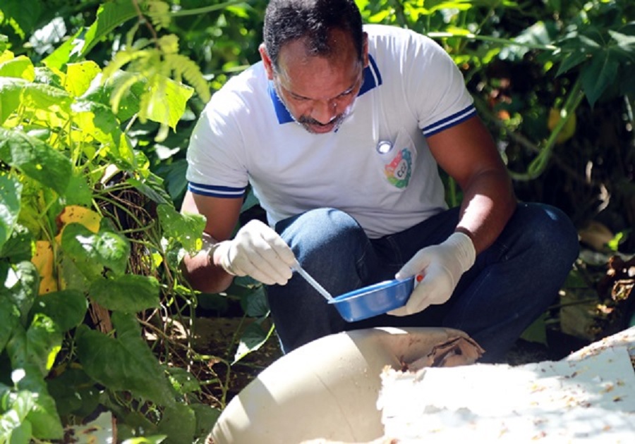 Imagem JPG, Bahia tem mais de 7 mil casos prováveis de dengue e 8 óbitos em investigação